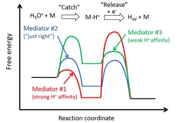 ACS Catal.：分子质子介体增强单层MoS2的电催化HER活性