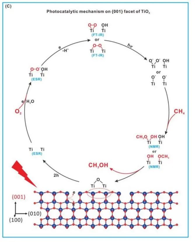 叶金花/冯宁东Nature子刊：在TiO2上有效和选择性地光催化氧化CH4为CH3OH