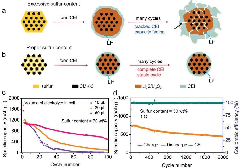 黄云辉/李真AEM: 固体转换型硫正极的衰减机制和长寿命锂硫电池设计策略