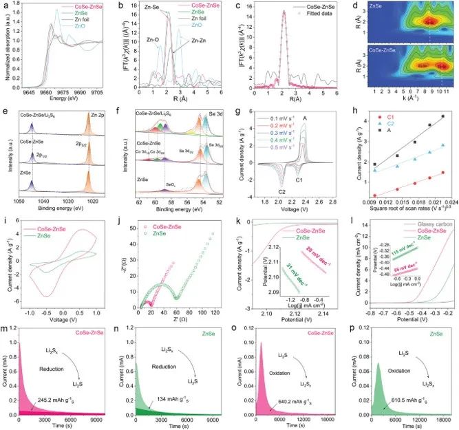 北理陈人杰、李丽Adv. Sci.：CoSe-ZnSe异质结促进锂硫电池双向硫转化反应