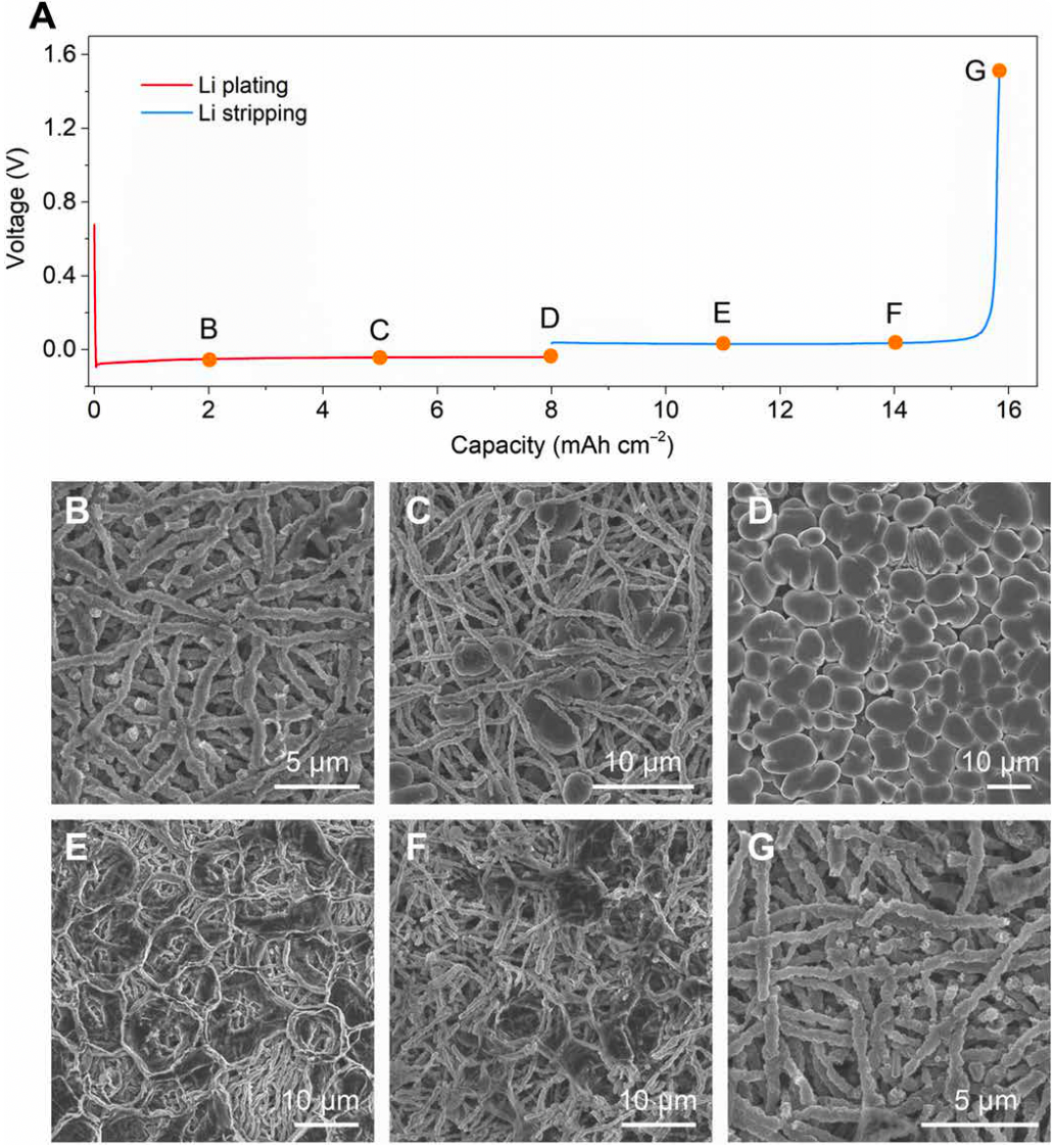 楼雄文Science子刊：三合一，锂金属沉积调控取得突破！