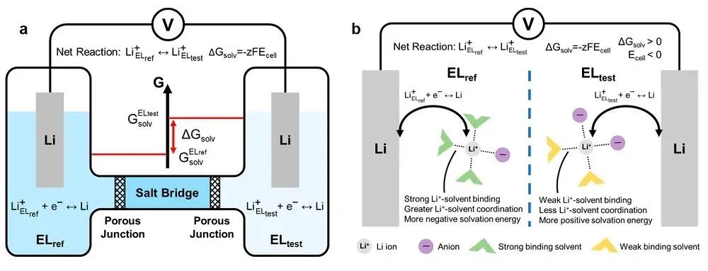 崔屹JACS：首次实验测得锂离子溶剂化能！