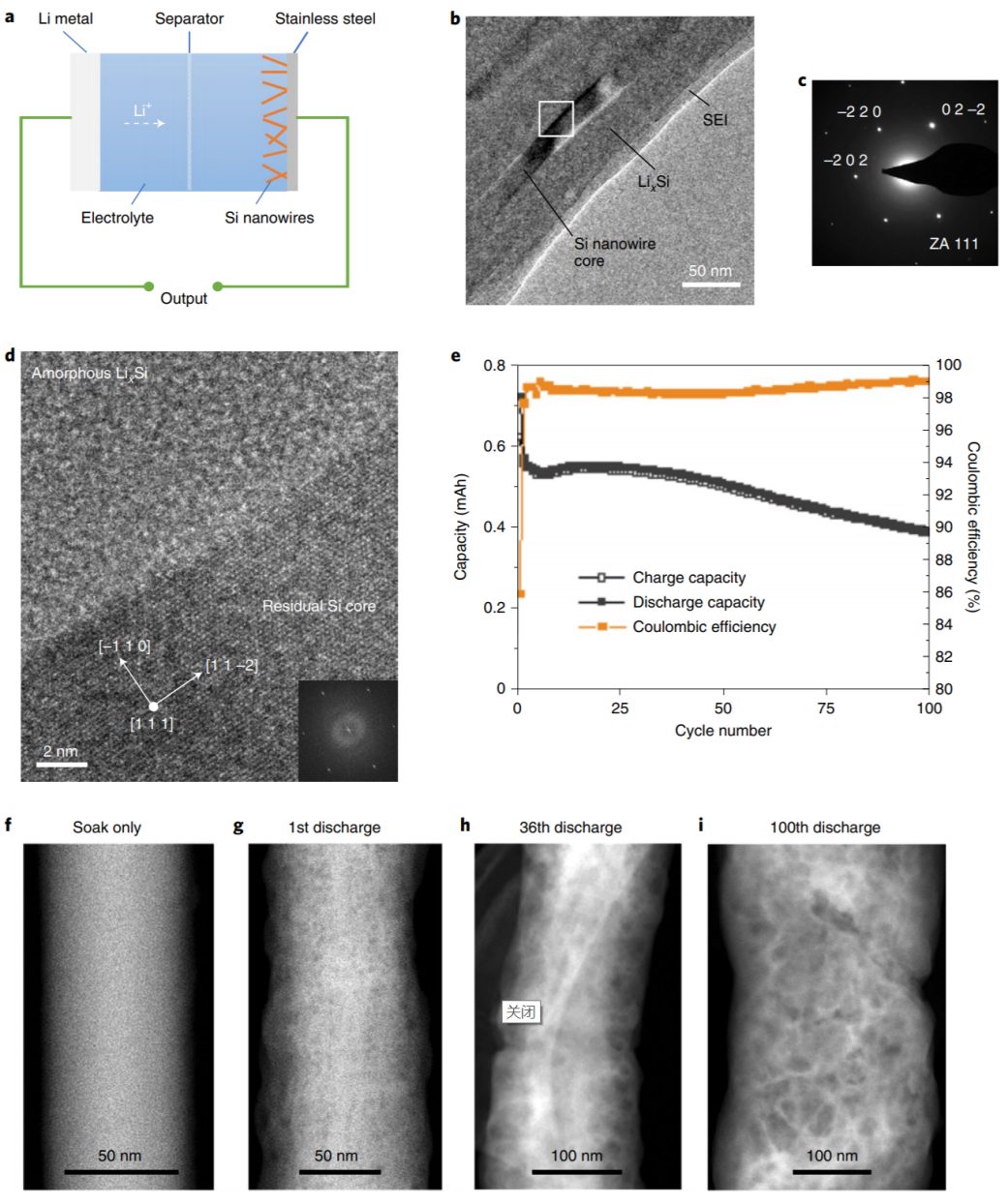 眼见为实！王崇民等人Nature Nanotechnology：冷冻电镜揭示Si容量损失原因