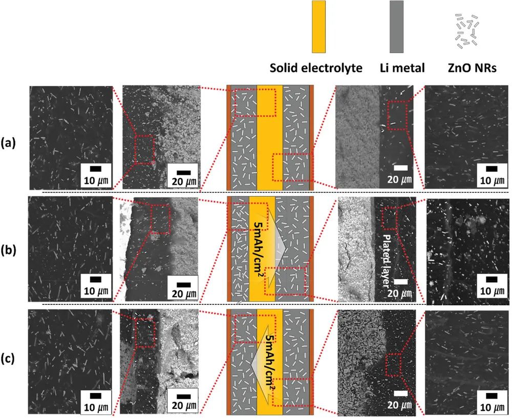 电池顶刊集锦：EES、EER、AEM、EEM、ACS Nano、Small等最新成果