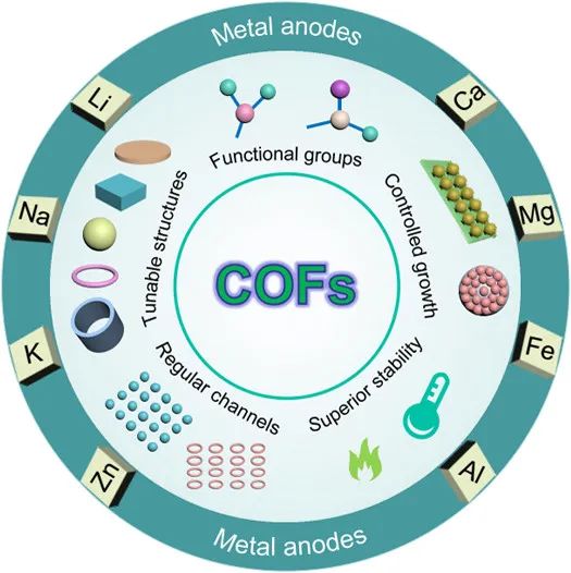 山大冯金奎ACS Nano：共价有机框架及其衍生物助力可充电池金属负极