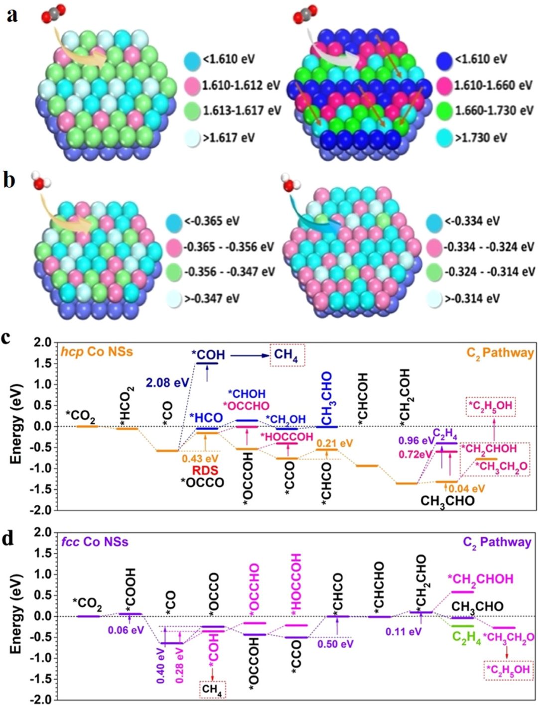 ​黄勃龙/席聘贤/孙守恒JACS：新型六方Co纳米片，高选择性CO2RR制乙醛！