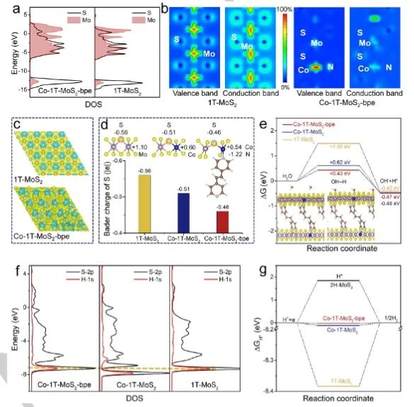董斌/柴永明Angew：配体调节活性中心，促进Co掺杂1T-MoS2电催化碱性析氢