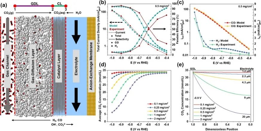 催化顶刊集锦：JACS、Angew.、ACS Energy Lett.、ACS Nano、ACS Catal.等最新成果