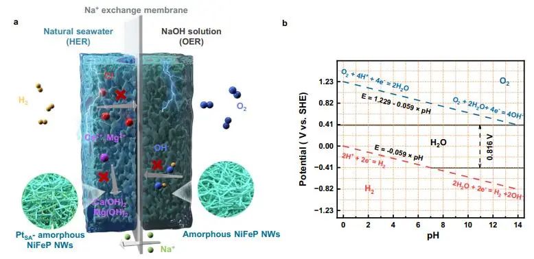 Nature子刊：构建钠离子导电不对称电解槽，实现低电压下海水直接电解