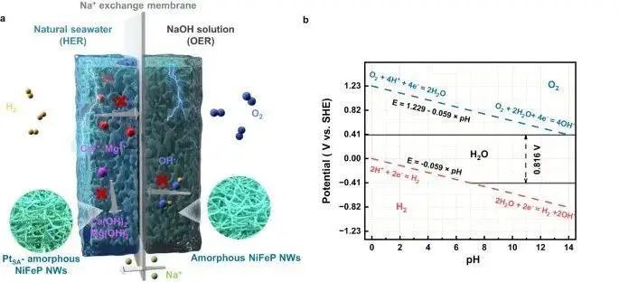 华科大李箐/王谭源，最新Nature子刊！