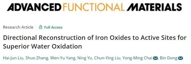 AFM：定向重构功不可没！提升Zn, S-Fe2O3-Fe3O4/IF的OER活性