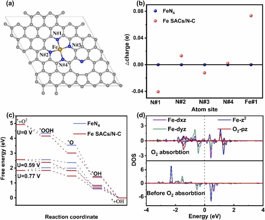 催化顶刊合集：JACS、Appl. Catal. B、AFM、Nano Energy、CEJ、ACS Nano等成果！