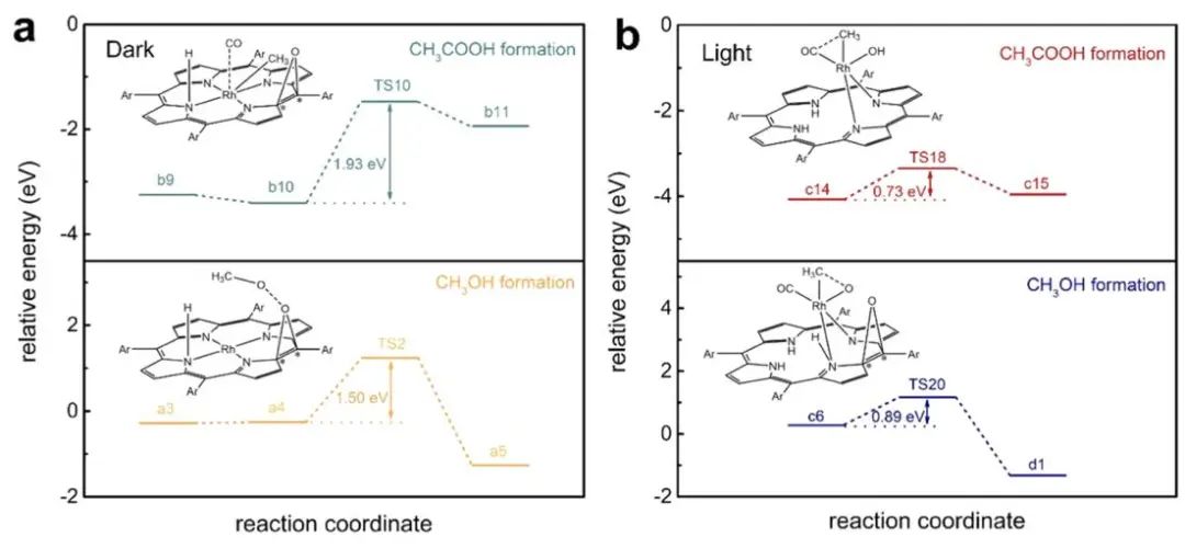 ​王敦伟教授JACS：Rh1/pMOF催化甲烷直接氧化选择性生成乙酸和甲醇