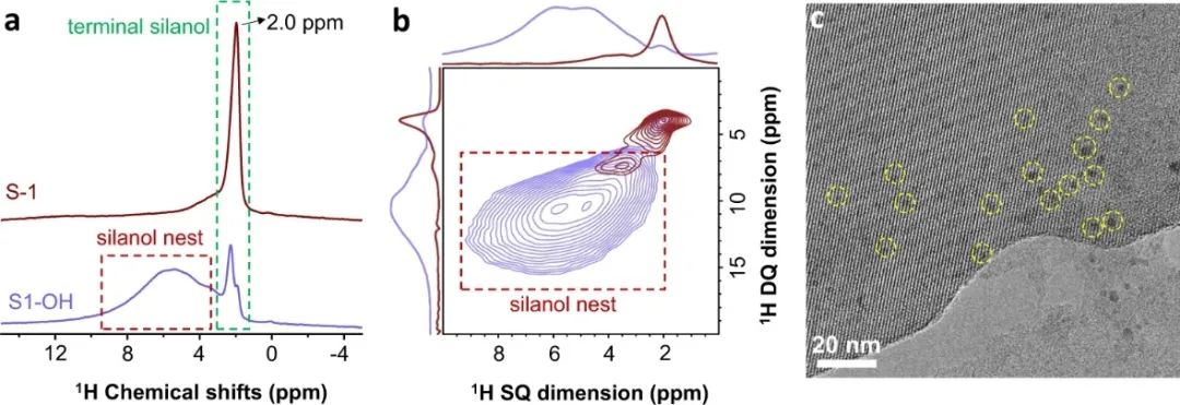 浙大肖丰收/王亮，最新Nature子刊！