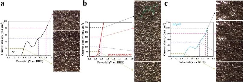 Chem. Eng. J.：利用空间限制效应和异质结构实现高效尿素电解