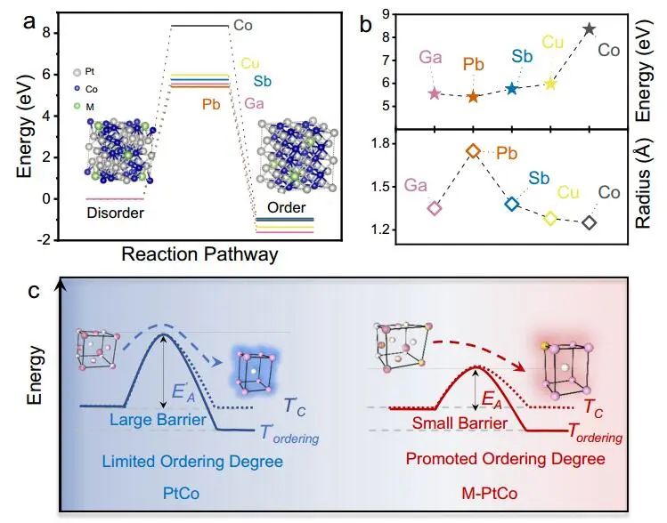 计算文献速递：Nature Catalysis、EES、JACS、Chem、EnSM、Nat. Commun.等！