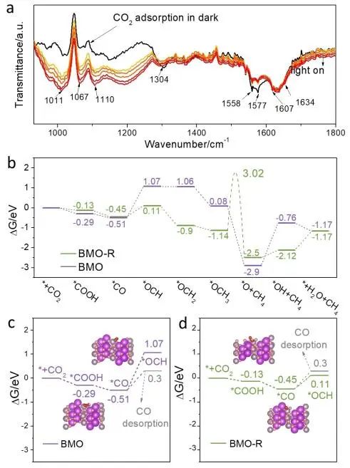 他，被引10W+，H因子164，化学/材料双领域高被引科学家，2022年度成果精选！