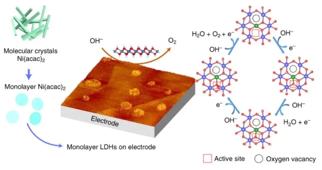 北航刘利民/郭林Nat. Catal.：单层NiCo氢氧化物用于电催化OER，并揭示其价态变化和动态活性位点