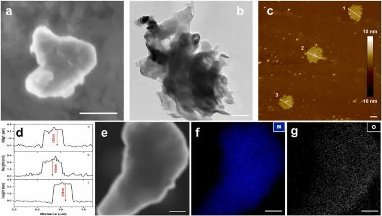 8篇催化顶刊：Nat. Commun.、JACS、Angew.、Nat. Catal.、Nano Energy等成果