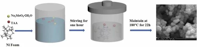 8篇催化顶刊：EES、Small、Adv. Sci.、JMCA、Nano Energy、Chem. Eng. J.等最新成果