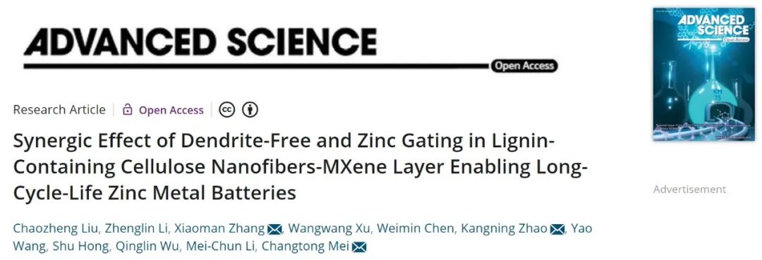 梅长彤等Adv. Sci.：纳米纤维协同MXene实现长寿命锌金属电池！