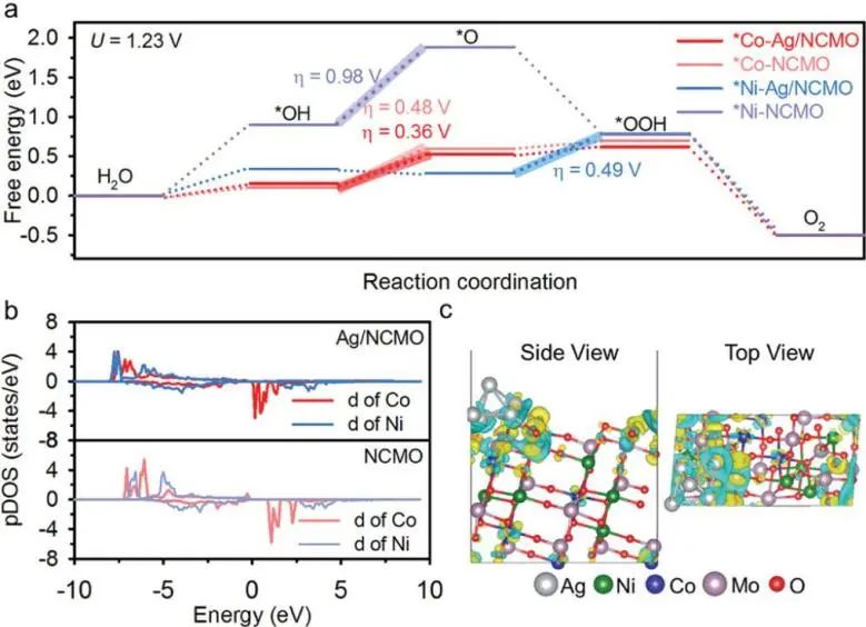 催化顶刊集锦：Nat. Commun./AFM/Small/ACS Catal./Appl. Catal. B.