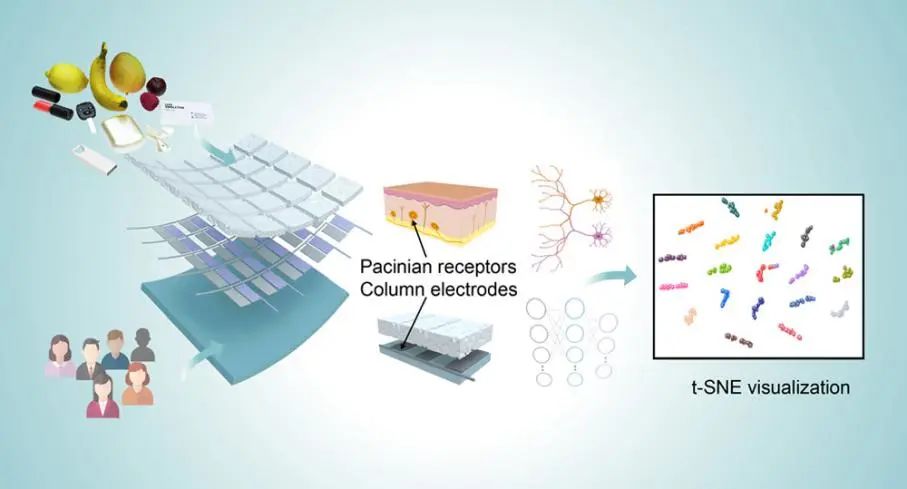 清华付红岩ACS Nano: 机器学习辅助实现仿生软传感器阵列的对象识别