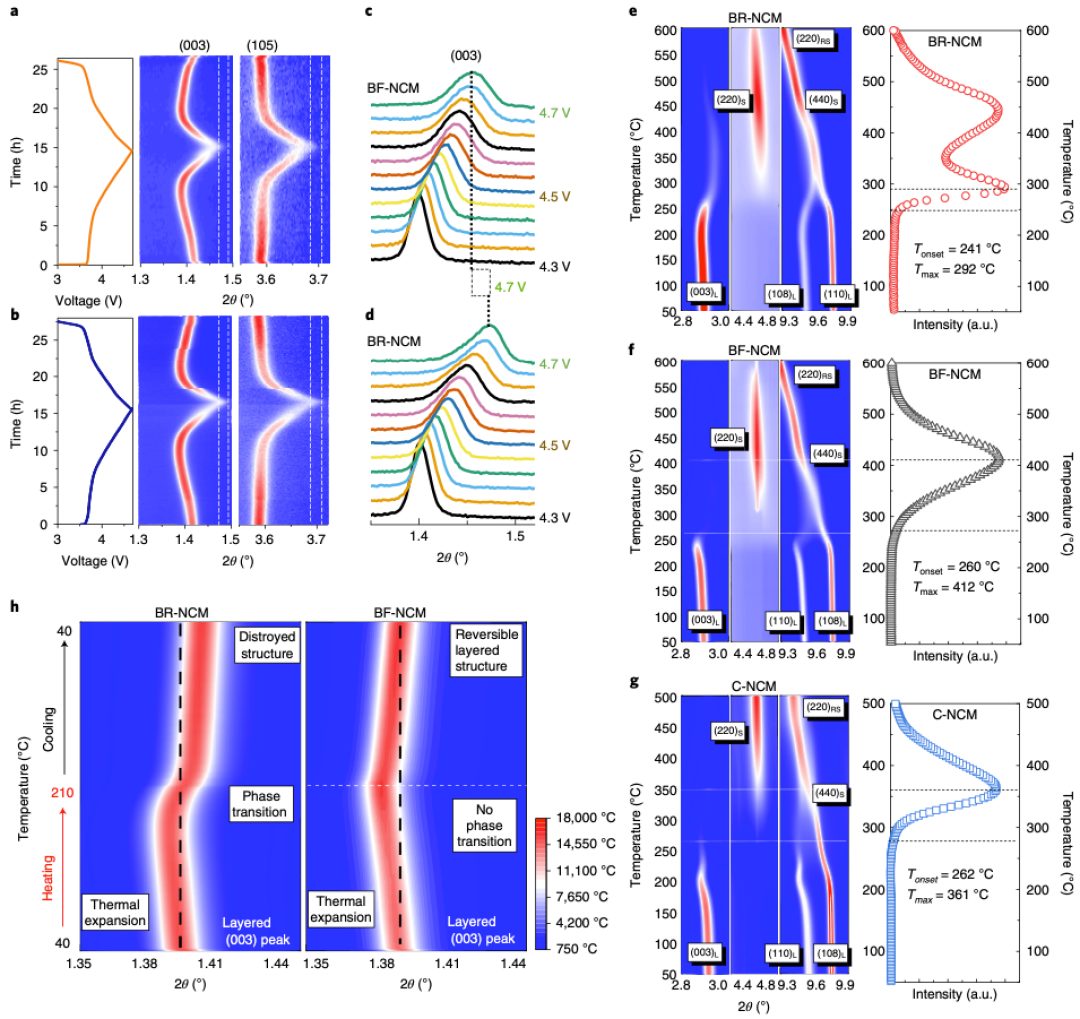 大牛合作最新Nature Energy：锂电新认识！