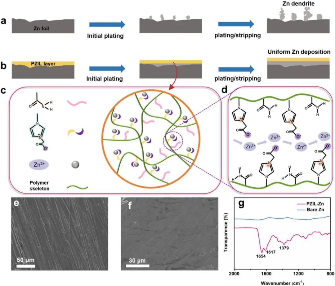 麦立强/徐林ACS Energy Lett.: 两性离子双功能层，实现2600小时镀锌/剥离！
