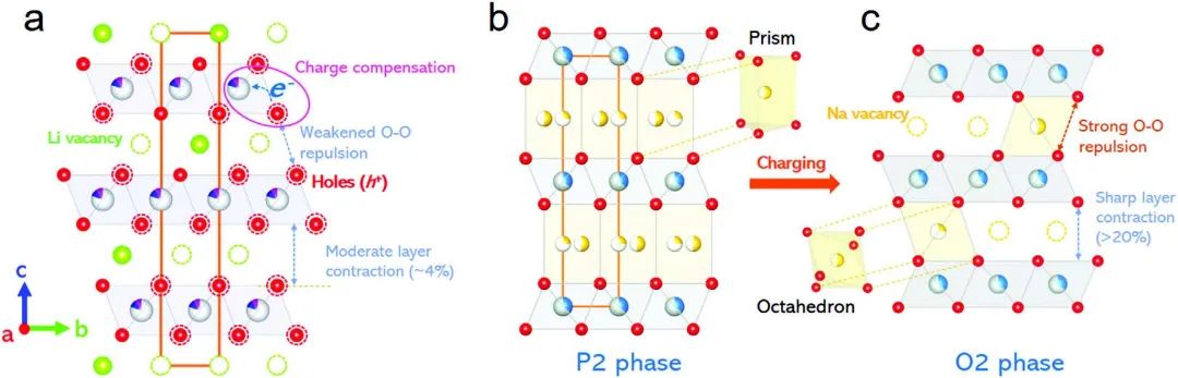 刘奇/谷林/李成超Adv. Sci.：激活电荷补偿，稳定P2型钠离子正极高压结构