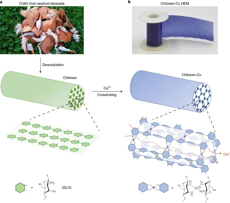 继Science之后，胡良兵团队再发Nature Nanotechnology！