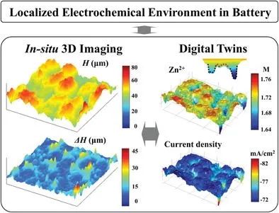 杨阳/单晓楠AEM: 局部电化学环境对电极反应动力学和枝晶最小化的影响
