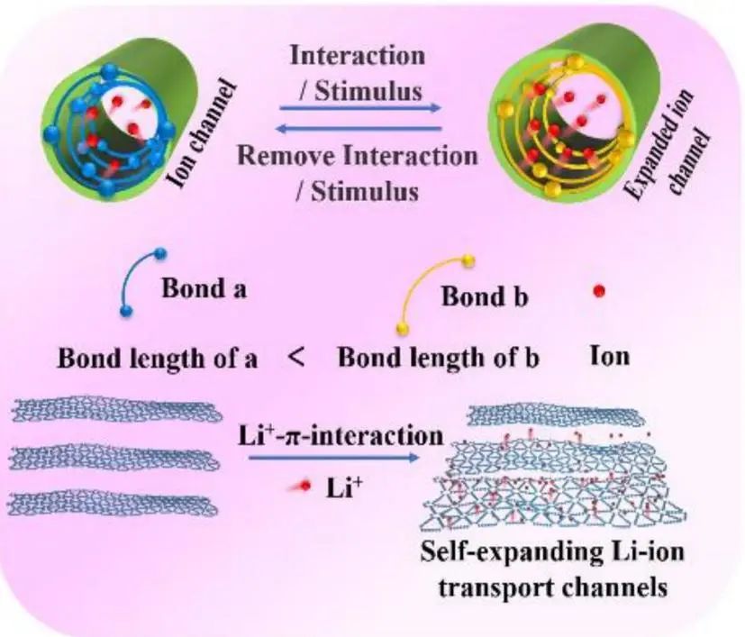 李玉良院士/李国兴Angew：自膨胀锂离子传输通道实现锂电池的6C快充