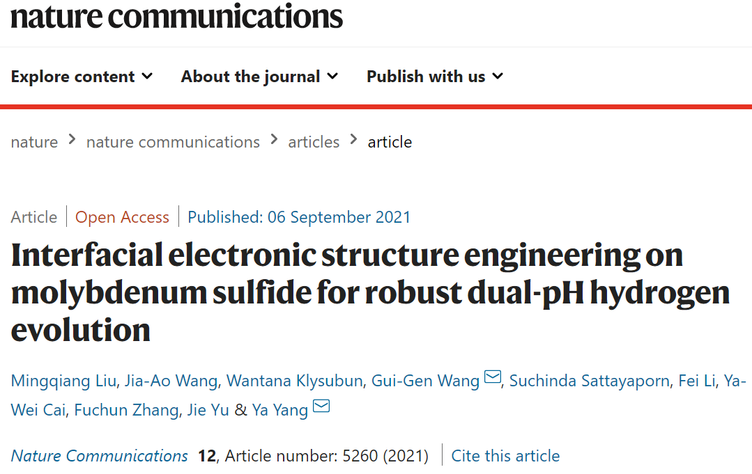 杨亚/汪桂根Nature子刊：调整MoS2电子结构工程和界面助力稳定双pH析氢
