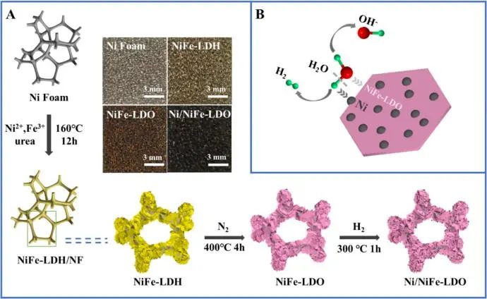 同济温鸣Chem. Eng. J.: 用于碱性介质中高效析氢的Ni/NiFe层状双氧化物二维异质纳米结构电催化剂