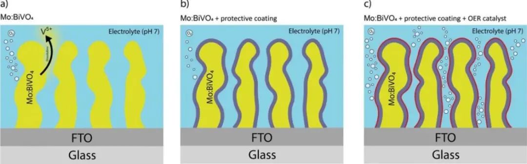 AFM：Fe0.1Ni0.9O薄膜保护的Mo:BiVO4光电极用于高效稳定光电化学OER