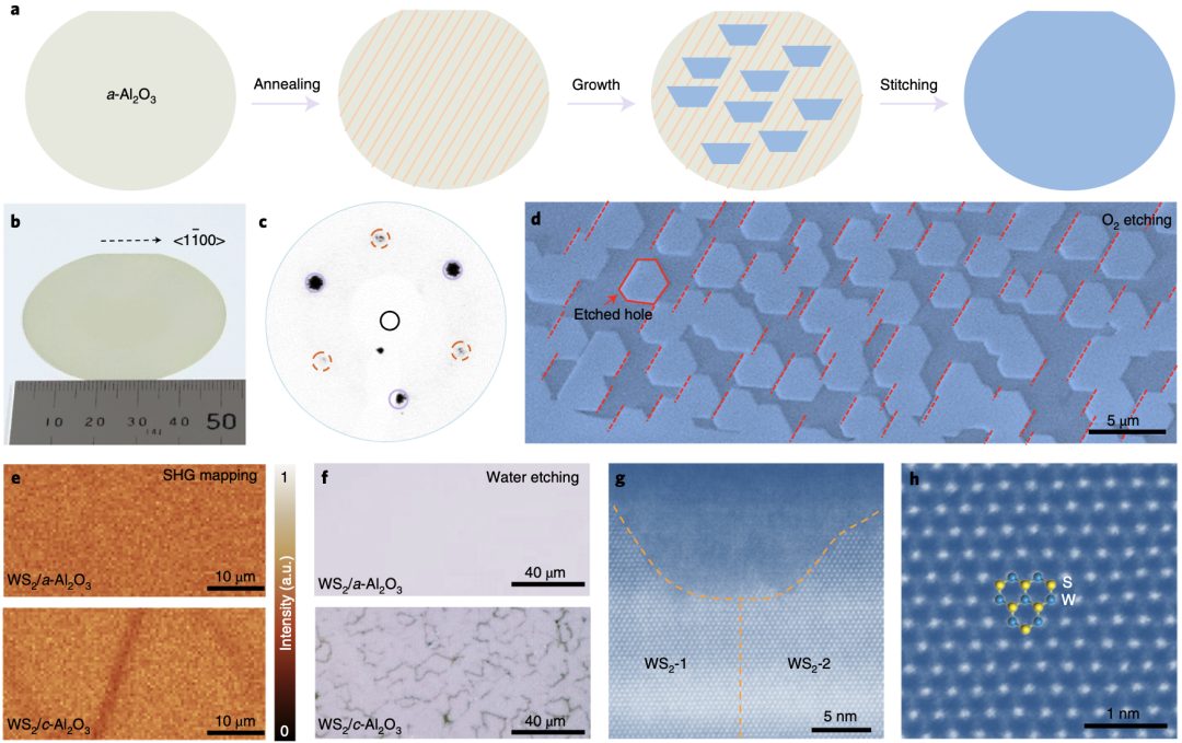 突破！北京大学Nature Nanotech.首次实现晶圆尺寸的单晶TMD生长！