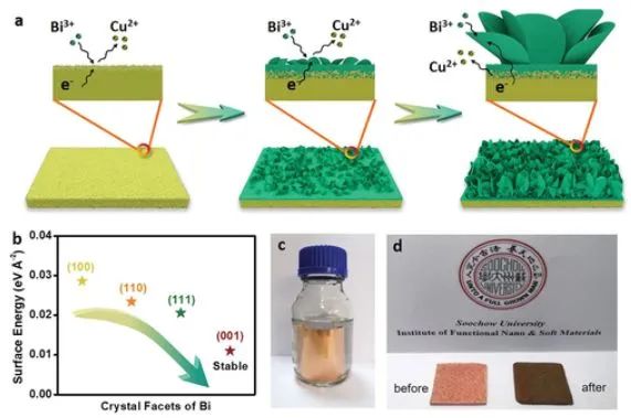 ​苏大李彦光AM: 大面积垂直排列的Bi纳米片阵列用于高效电化学 CO2转化