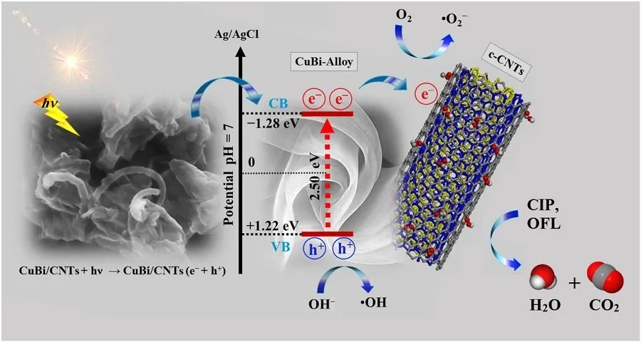 ​​​Appl. Catal. B.：一锅法！MWCNTs负载CuBi双金属合金纳米片作为降解氟喹诺酮类的高效光催化剂