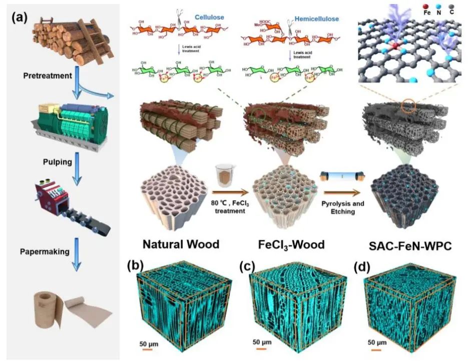 8篇催化顶刊集锦：JACS、AM、ACS Energy Lett.、Nano Lett.等最新成果