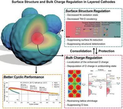 孙学良/庄卫东/王建涛Small：高循环性能富镍层状正极材料的结构和电荷调节策略