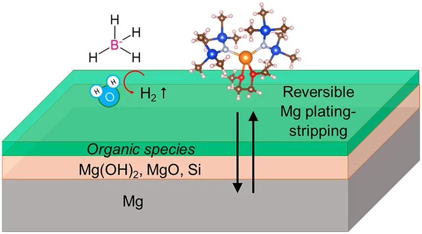 ​电池顶刊集锦：NSR、EES、NML、JACS、Nat. Commun.、Sci. Adv.、Nano Lett.等成果