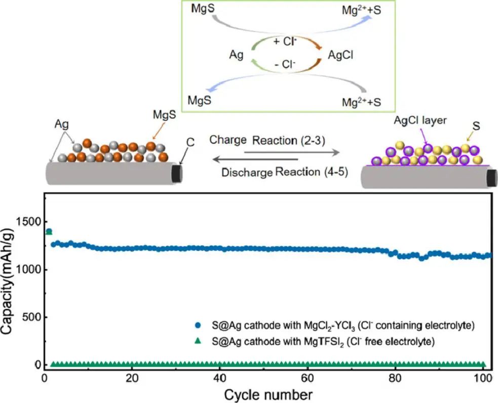 张跃钢/郭晶华EnSM: 含氯化物电解液的镁硫电池中Ag催化剂的可逆功能转换