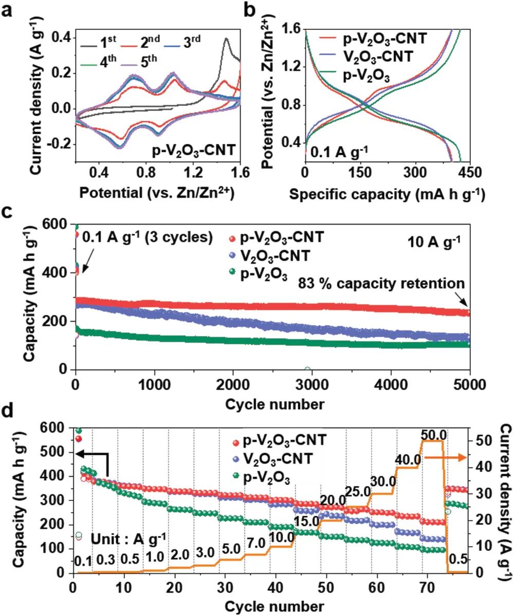 高丽大学Small Methods: 锚定大孔隙碳纳米管微球来提高V2O3的电化学性能，用于超快、长寿命的水系锌离子电池