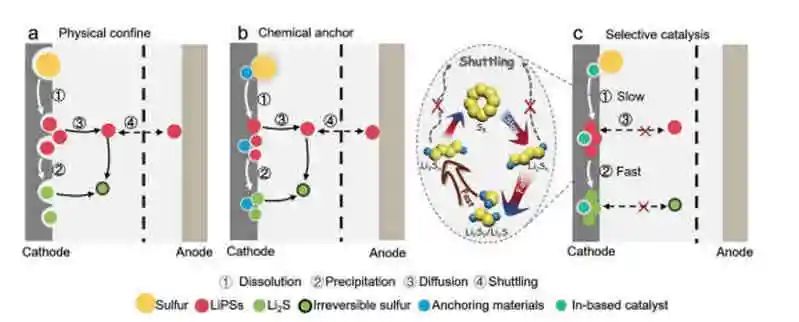 杨全红/Ying Wan最新AM：锂硫电池中多硫化物穿梭的选择性催化修复