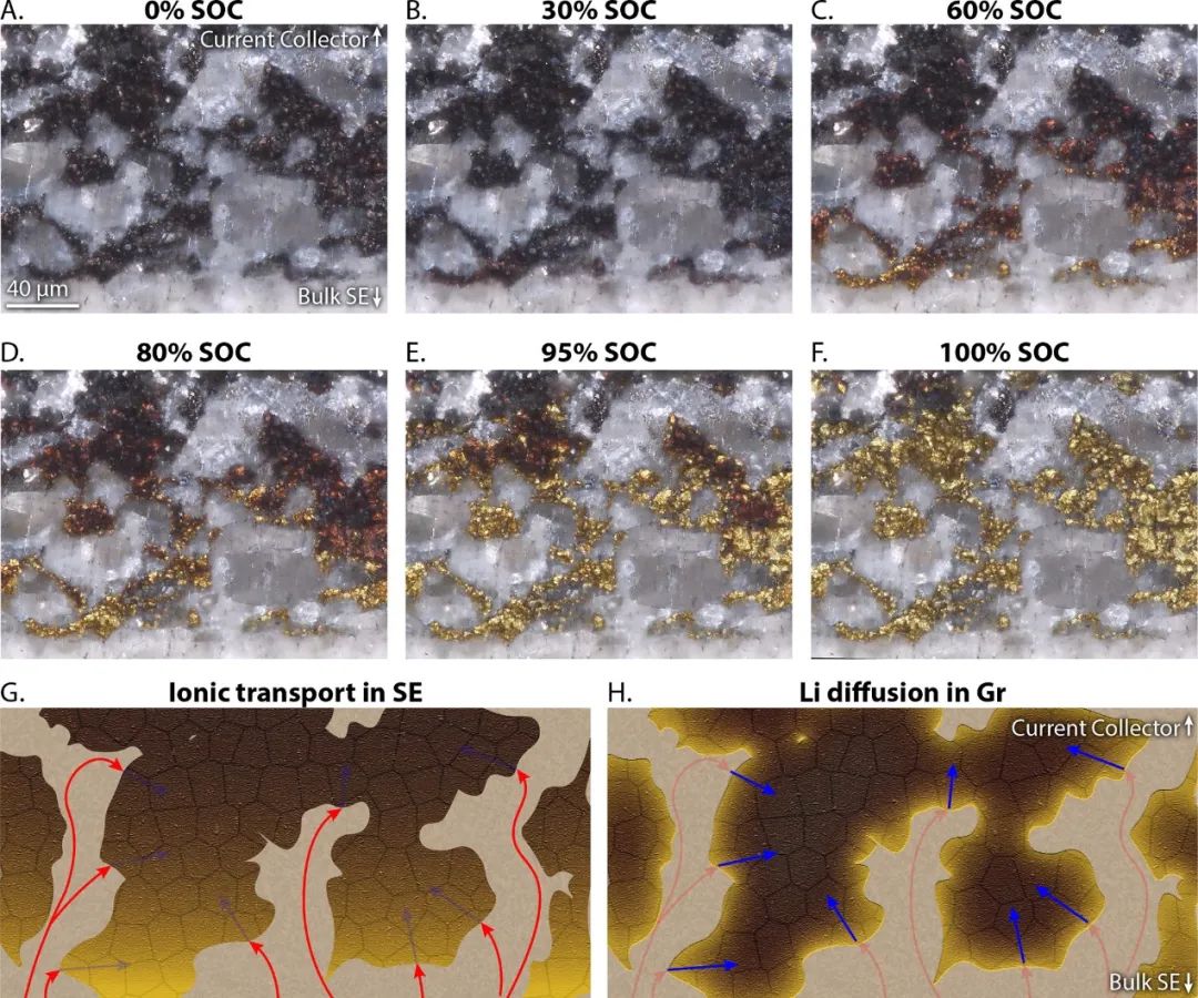 ACS Energy Lett.：利用原位显微镜揭示复合固态电池电极的倍率限制