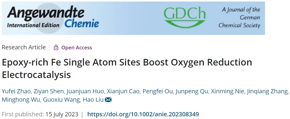 ​刘浩/吴明红/张晋强Angew.：Fe1/NSOC高效电催化ORR
