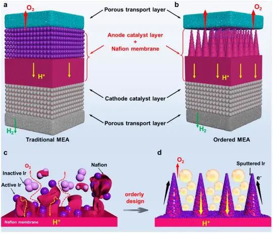 ​苏州纳米所Nano Letters：开发有序膜电极组件，增强质子交换膜质子和物质传输用于高效水电解