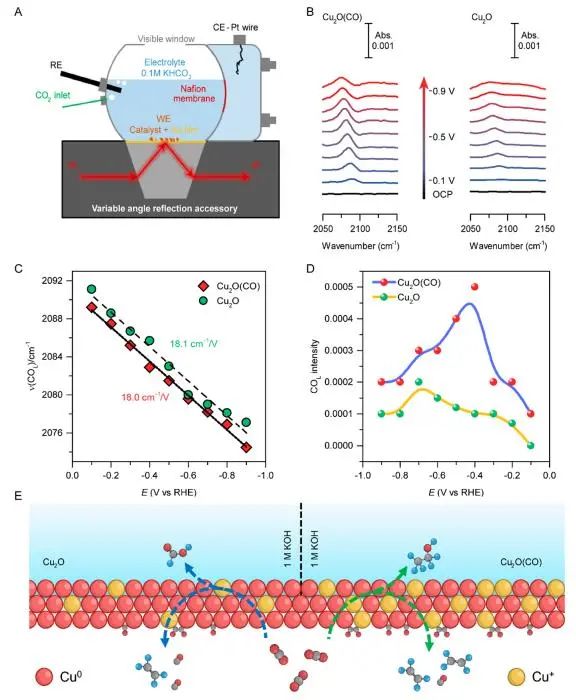 催化顶刊集锦：Nature子刊、JACS、ACS Nano、ACS Energy Lett.、AFM、NML等成果