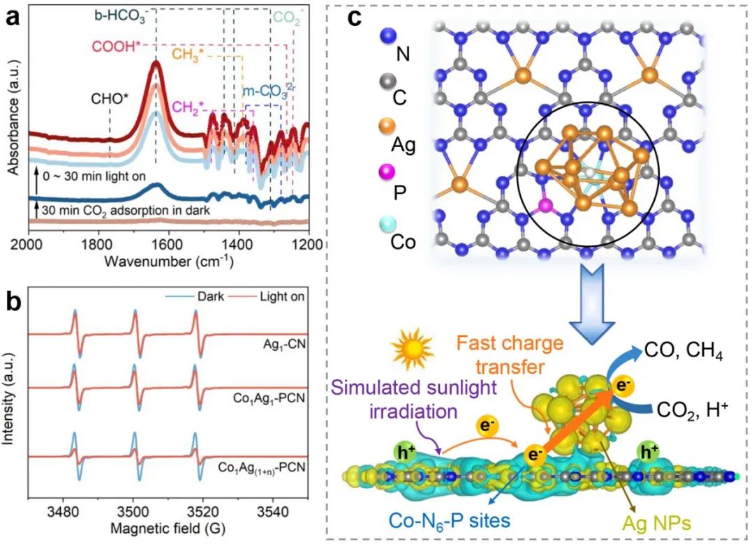 催化顶刊合集：JACS、Appl. Catal. B、AFM、Nano Energy、CEJ、ACS Nano等成果！